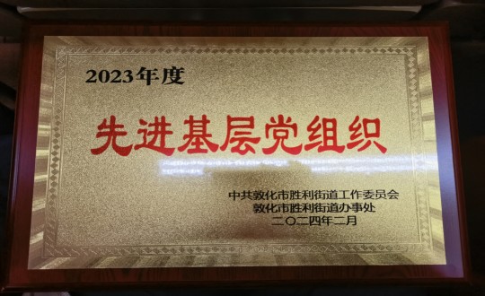 2024年2月1日，，，，，，物业总公司敦化项目党支部被授予“2023年度先进下层党组织”声誉称呼_副本.jpg