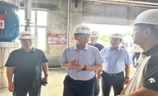 14.伊通满族自治县县委书记孙立阳一行向导莅临老子有钱lzyq88供热总公司伊通供热分公司第二热源厂开展调研（不敷清晰，，，资助调解）_副本.jpg